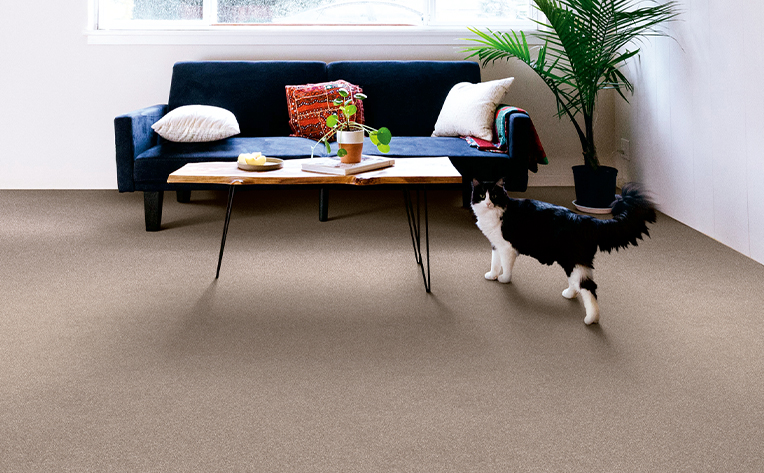living room area with blue couch and carpet